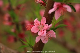 mmexport1489335782551