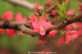 mmexport1489335768131