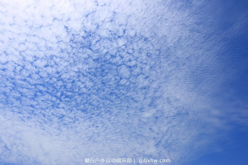 mmexport1491238214791