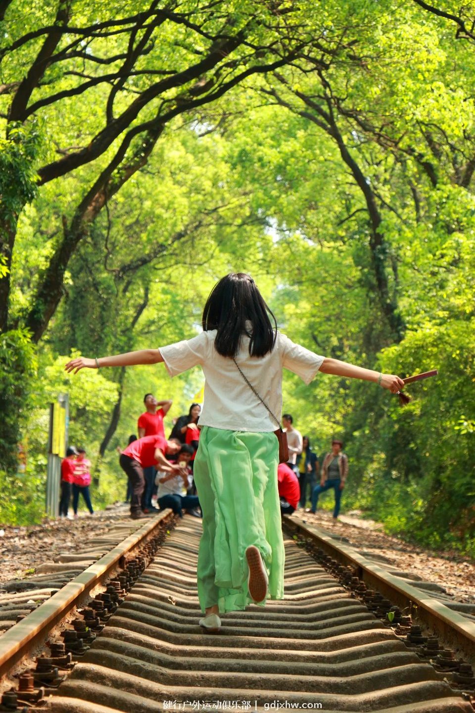 mmexport1491237879217