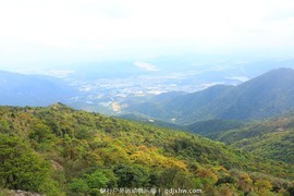 mmexport1491995477507