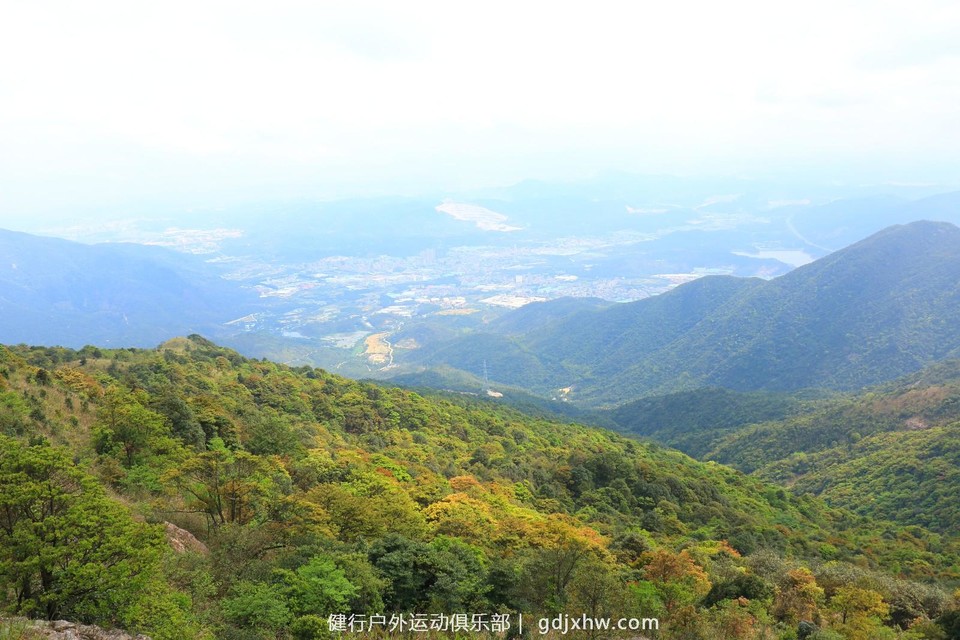 mmexport1491995477507