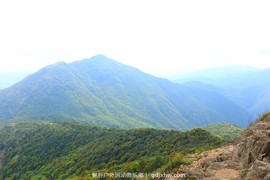 mmexport1491995468611