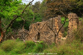 mmexport1491995459919