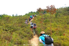 mmexport1491995424233