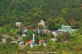 mmexport1491995436641