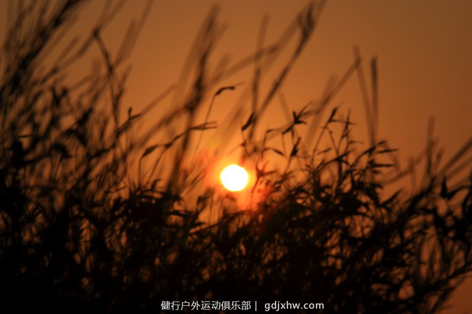 mmexport1493686285267