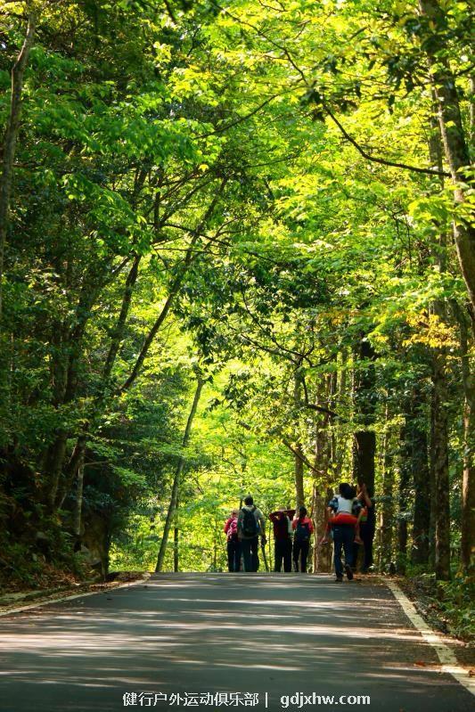 mmexport1493828678930