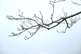 mmexport1489506370607