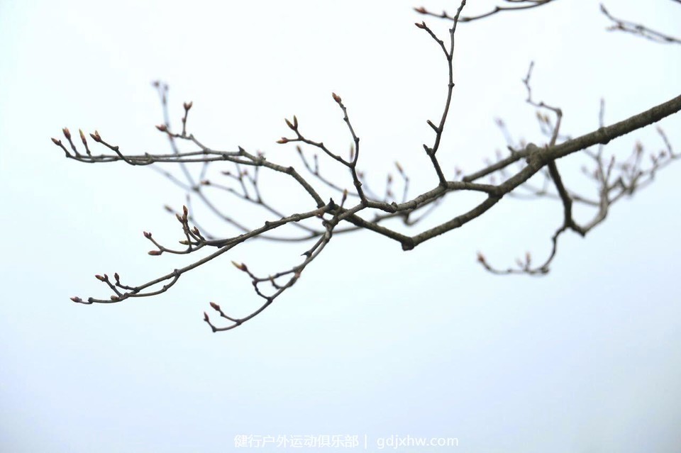 mmexport1489506370607