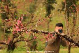 mmexport1489506368356