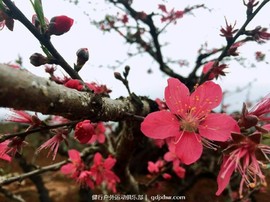 mmexport1489506365917