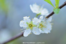 mmexport1489506363399