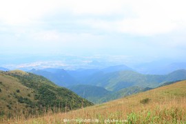 mmexport1491814656987