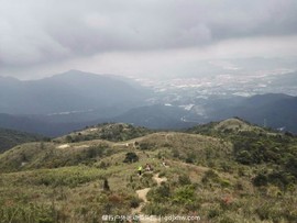 mmexport1491814433429