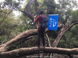 mmexport1491814906489