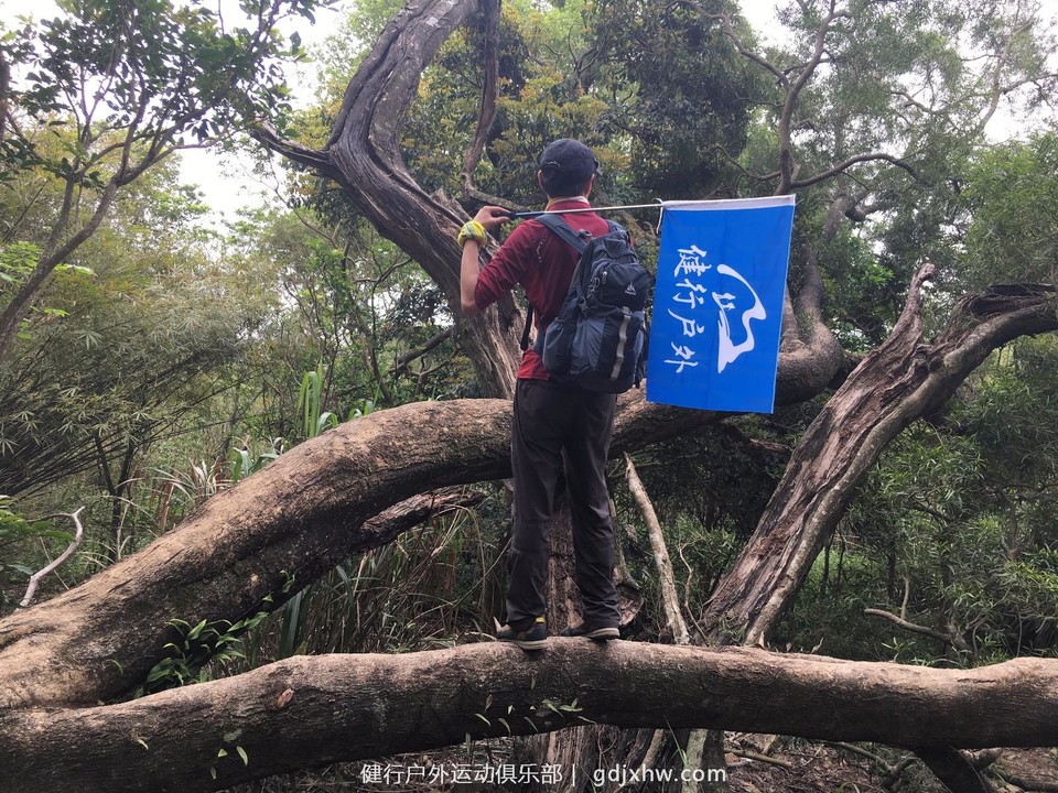 mmexport1491814906489