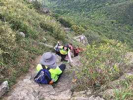 mmexport1491814925142