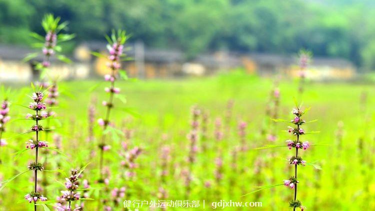 mmexport1493793857999