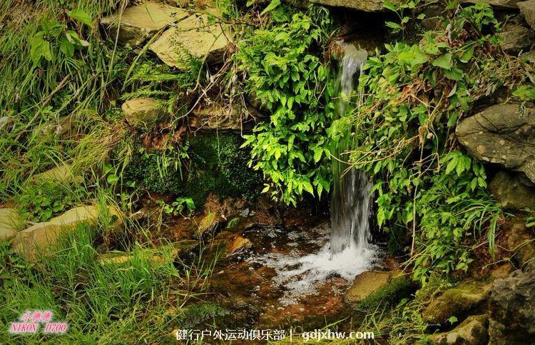 mmexport1493793831409