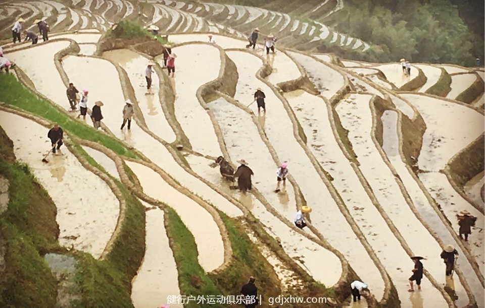 mmexport1496650349110