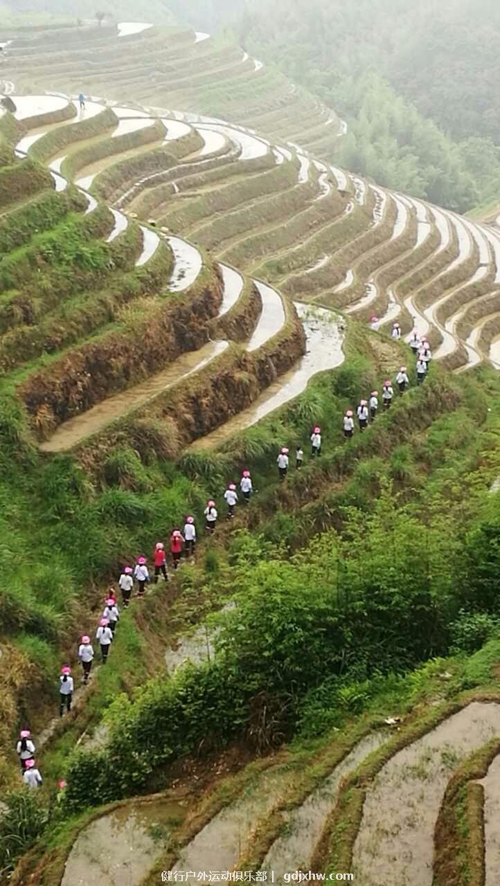 mmexport1496650330402