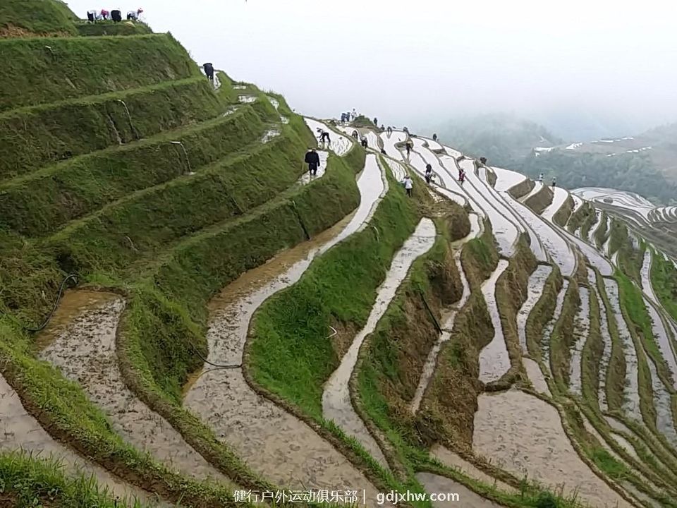 mmexport1496650219696