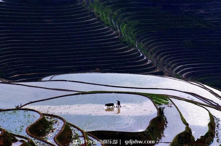 mmexport1496927793085