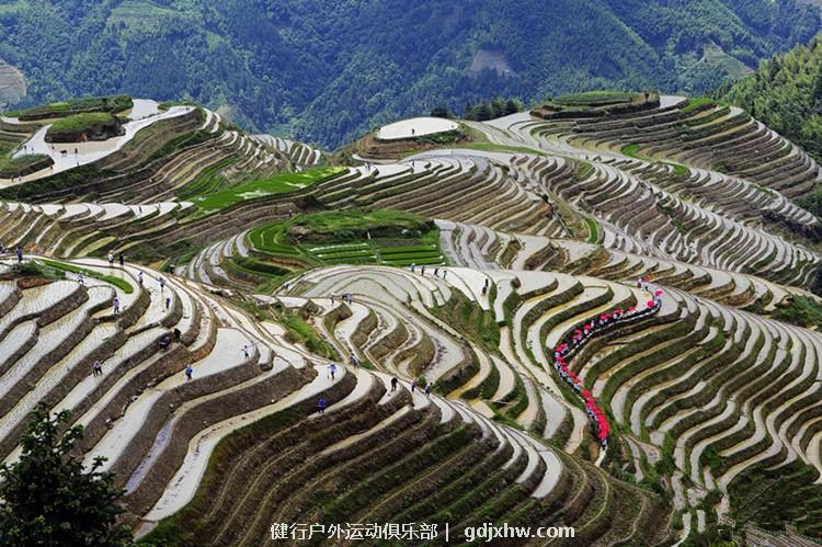 mmexport1496927755330