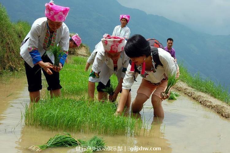 mmexport1496927747942