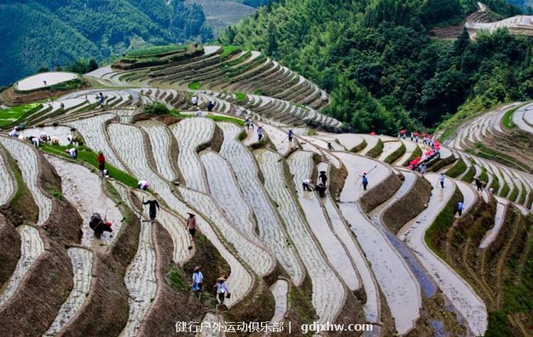 mmexport1496927729139