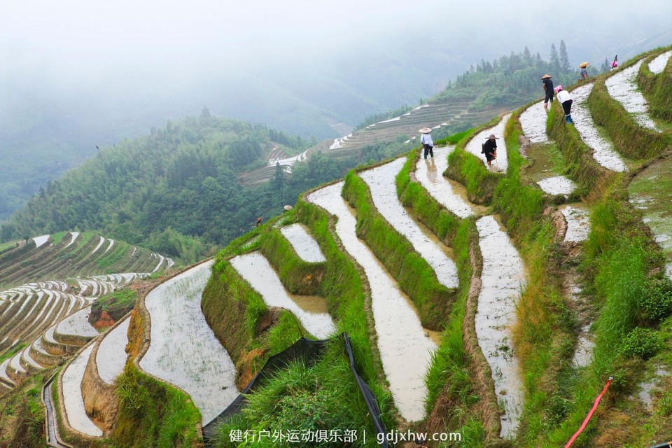 mmexport1496935115111