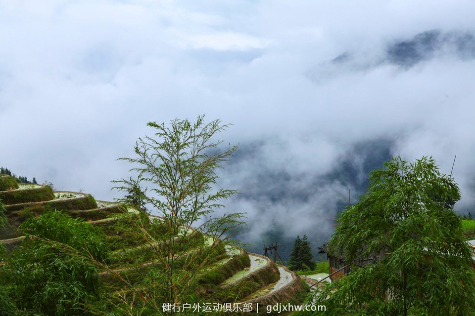 mmexport1496935095494