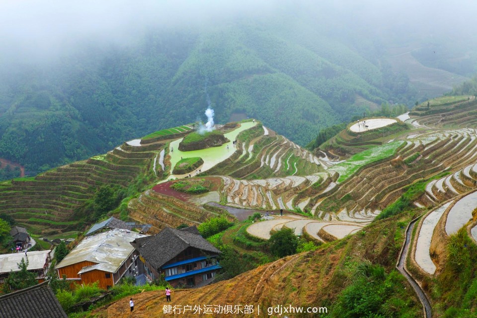 mmexport1496935078301