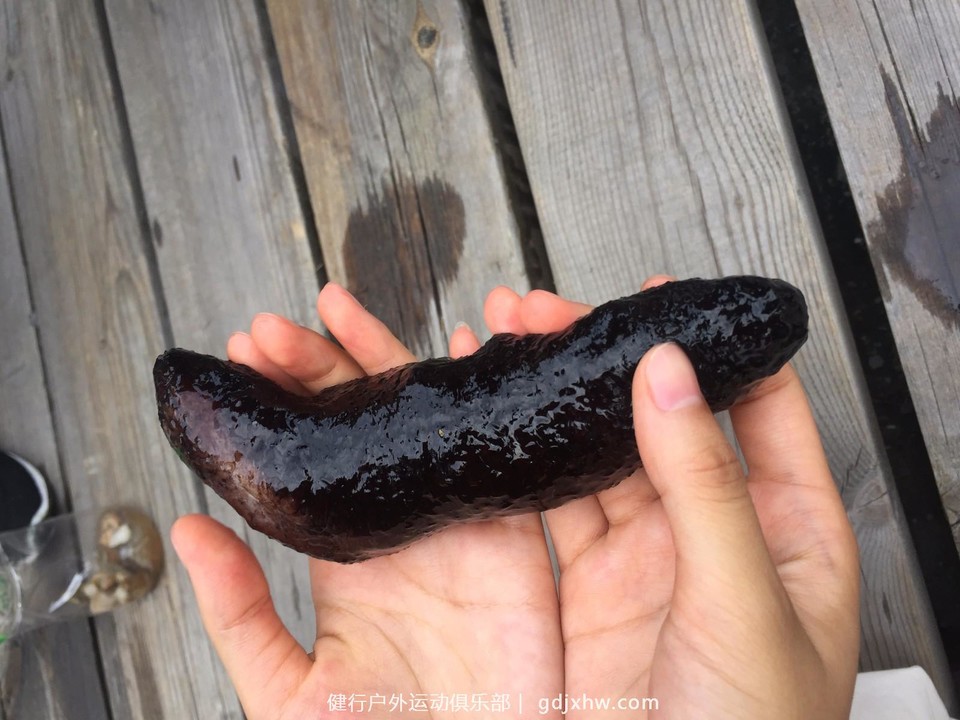 mmexport1497254536329