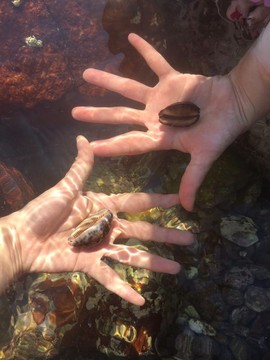 mmexport1500896800947