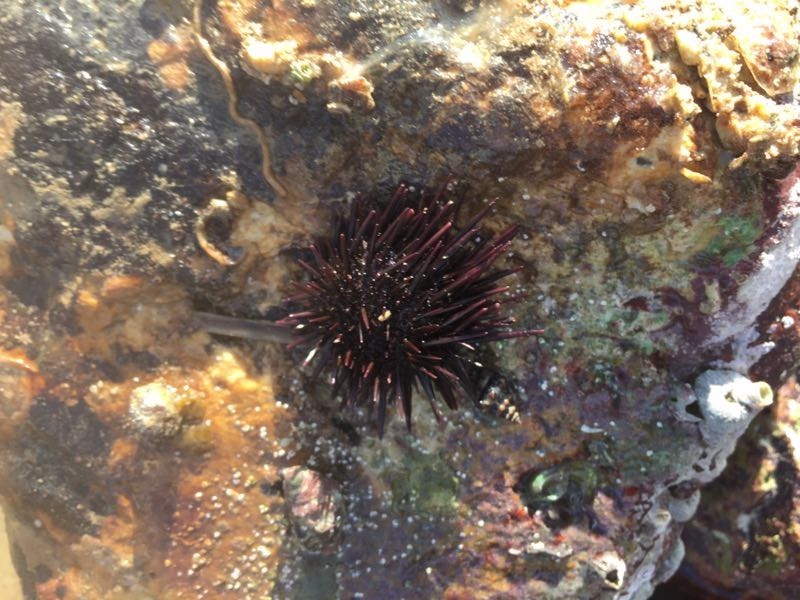 mmexport1500896783274