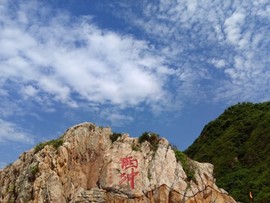 mmexport1500879921466