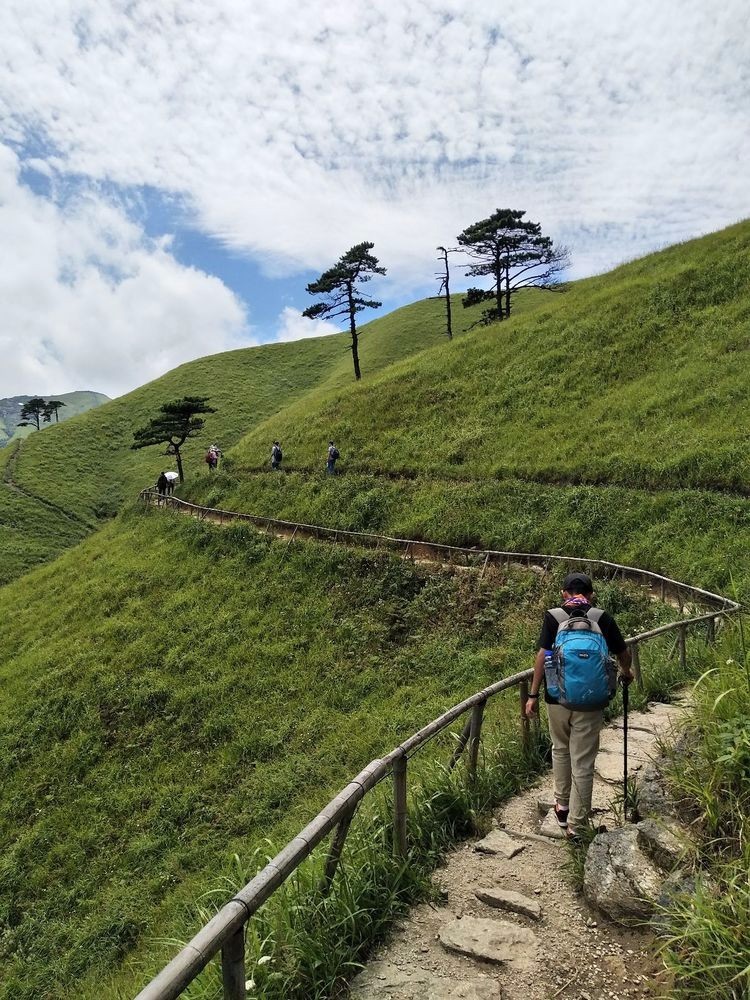 mmexport1503307941192