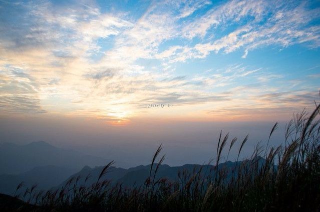 mmexport1503307908039