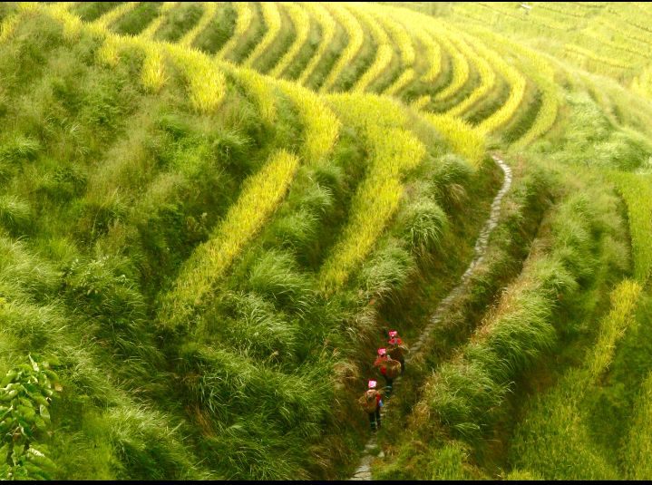 超级截屏_20170926_180631