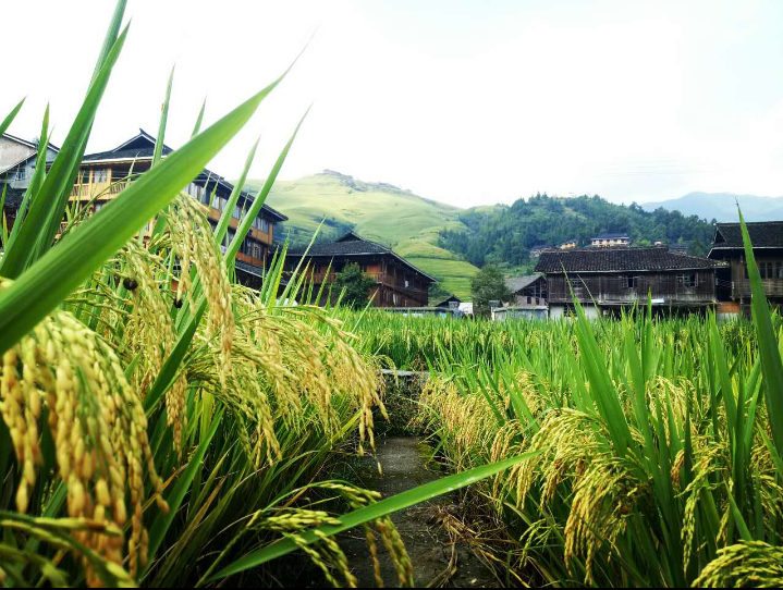 超级截屏_20170926_180608