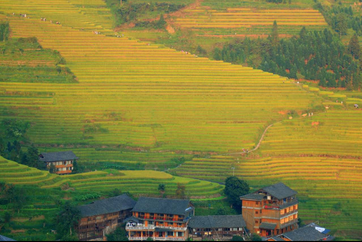 超级截屏_20170926_180557