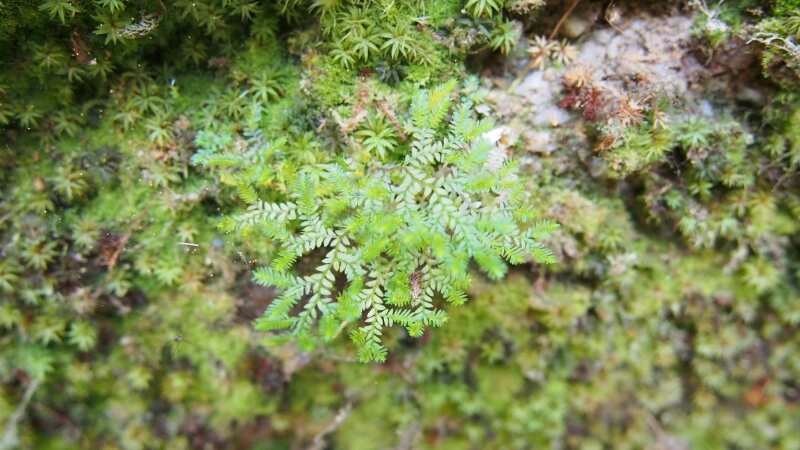 mmexport1508123824677