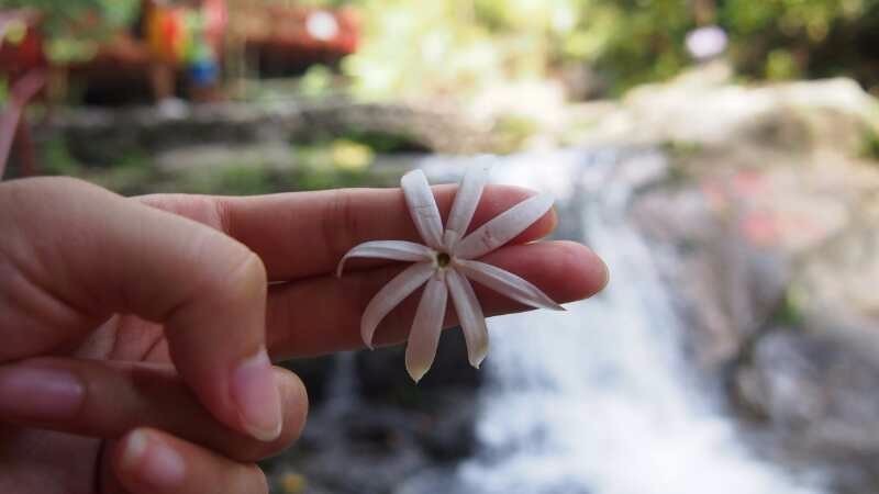 mmexport1508123820918