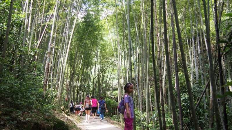 mmexport1508123814780