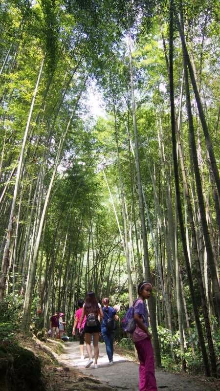 mmexport1508123778102