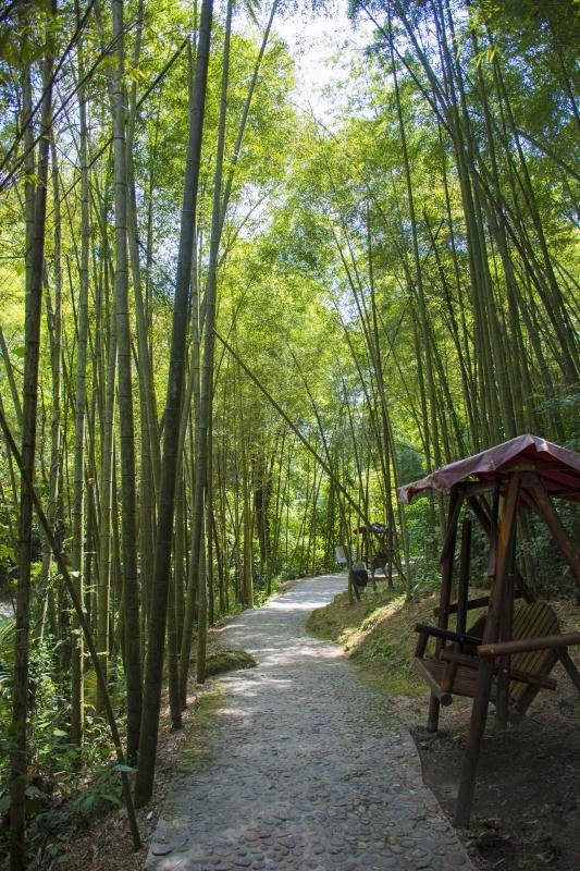 mmexport1508134985635