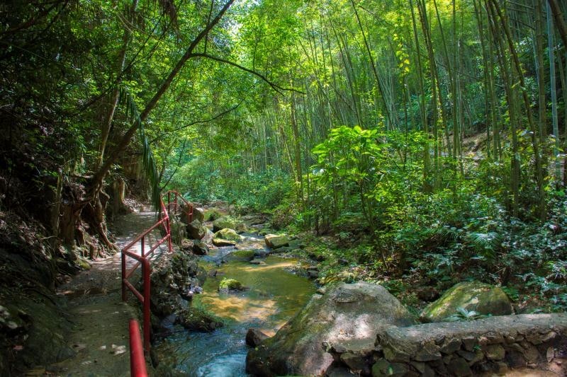 mmexport1508135748525