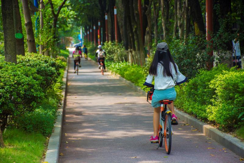 mmexport1504353543175[1]